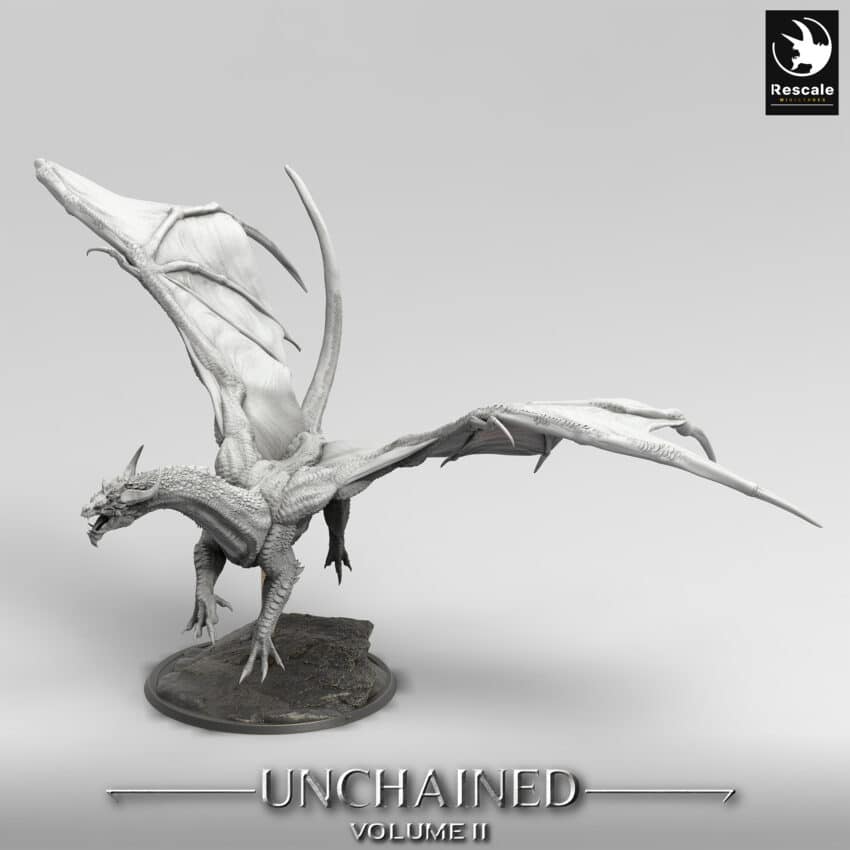 Unchained War Dragon Fly Wild Order Immortalis - Rescale Miniatures RPG - D&D  Tabletop Miniature